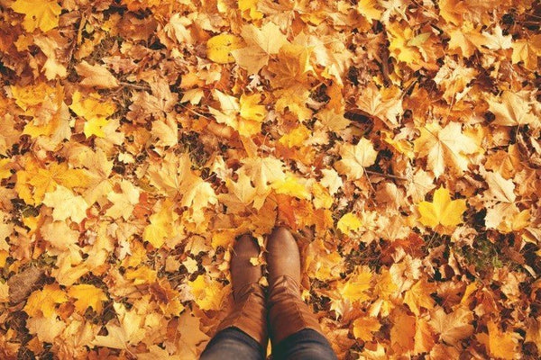 THE FALL - AUTUMN INGREDIENTS AND WELLBEING - VOYA Organic Beauty