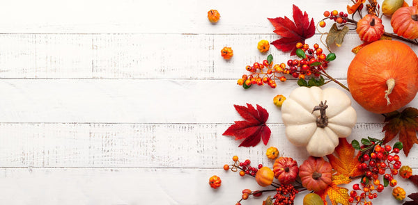 Easy & Nutritious Autumnal Recipes & Foraging Expeditions - VOYA Organic Beauty