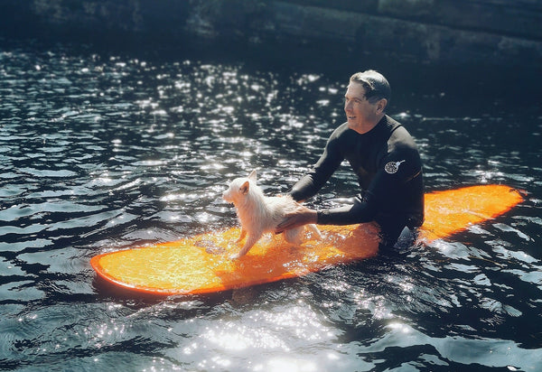 MARK WALTON - HEAD ABOVE WATER - VOYA Organic Beauty