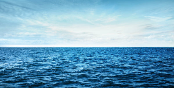 VOYA Celebrates World Oceans Day - VOYA Organic Beauty
