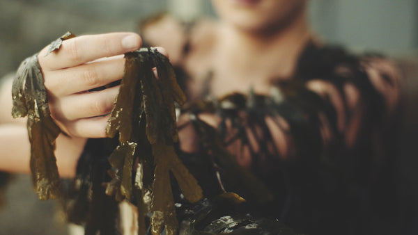 VOYA's Lazy Days Seaweed Bath Features In Marie Claire - VOYA Organic Beauty